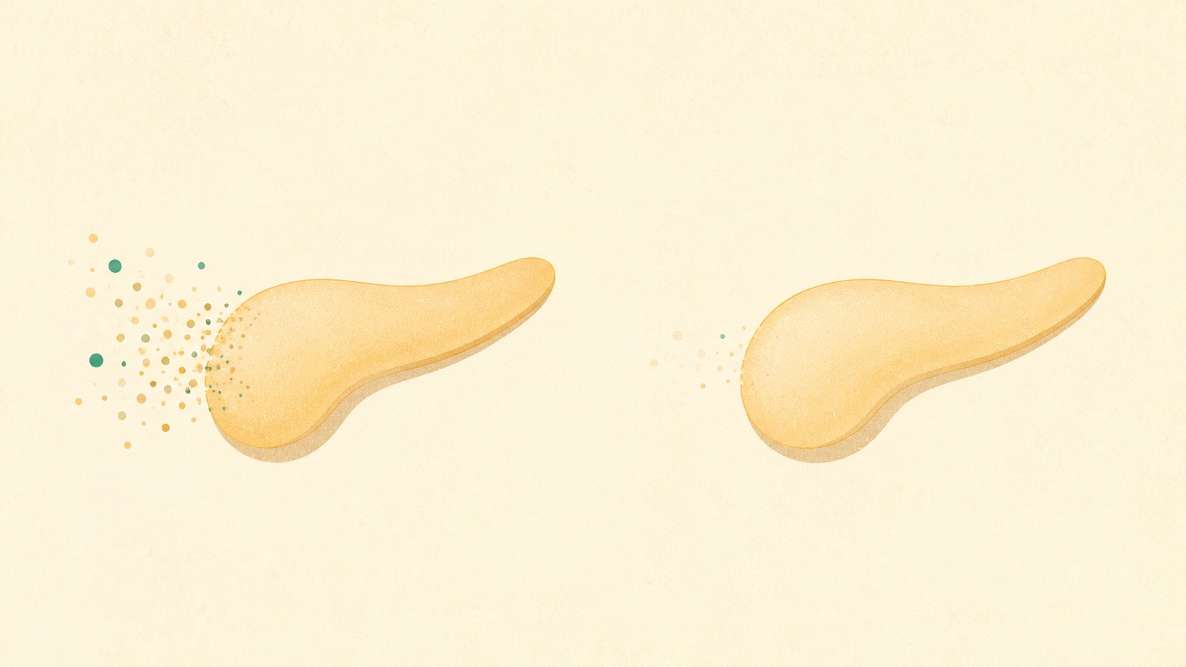 Illustrazione editoriale astratta che evoca due meccanismi diversi del diabete su sfondo crema con accenti verdi